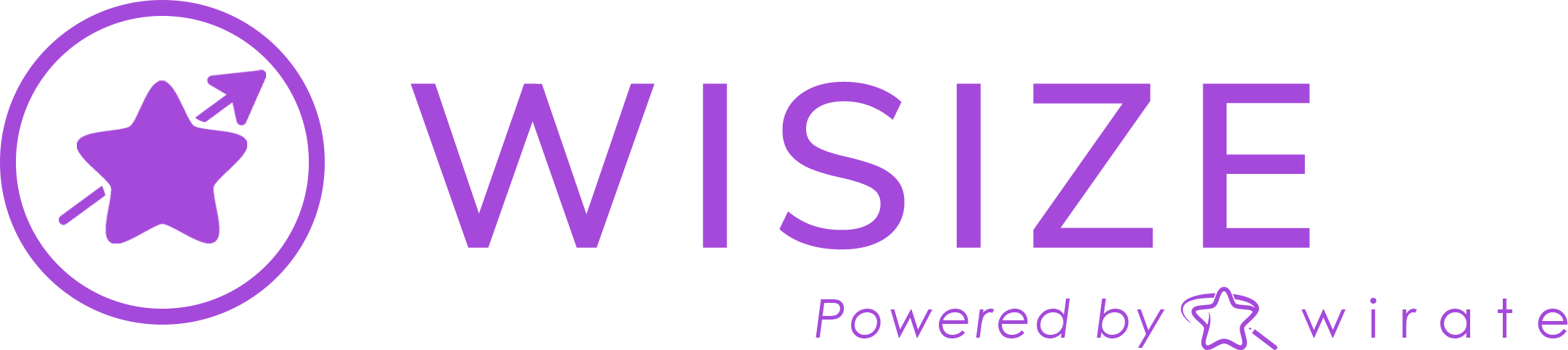 Wisize logo